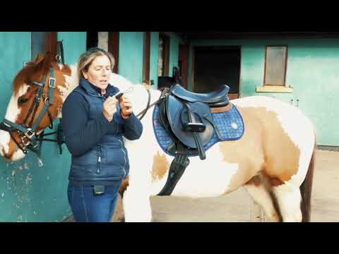 Balanced Support Reins Fitting Guide Swedish / Tyglar Monteringsguide - Svenska