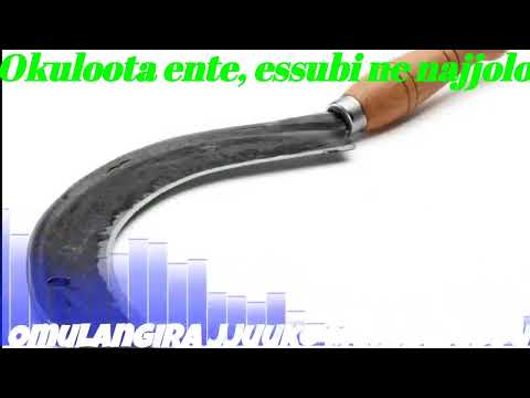 Okuloota ente, essubi ne najjolo - Omulangira Jjuuko Munnabuddu