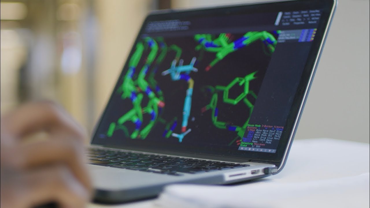 Master's in Bioinformatics & Computational Biology | USF Health