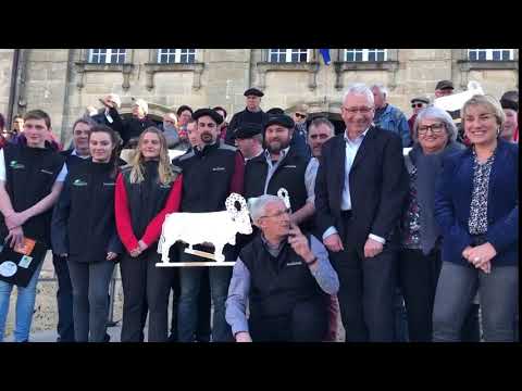 Fête des bœufs gras de Bazas 2020