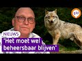 Mag de wolf worden afgeschoten? Politiek stelt besluit uit.