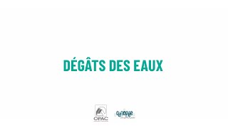 💧 Comment agir en cas de dégât des eaux dans son logement ?