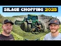Silage Chopping 2025 WHEATLAGE COW CHOW