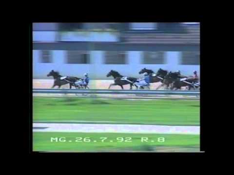 Preis der Firma Holthoff Scotch Velvet 1:17,8