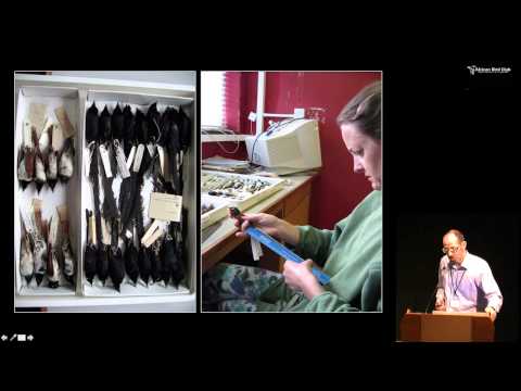 African Bird Club 2015 - Jim Groombridge