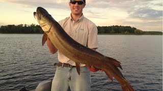 preview picture of video '46 Chippewa Flowage Musky'