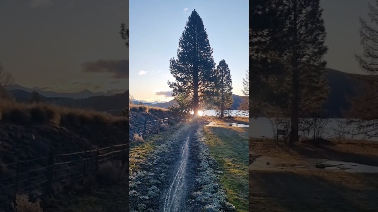 YouTube Short thumbnail