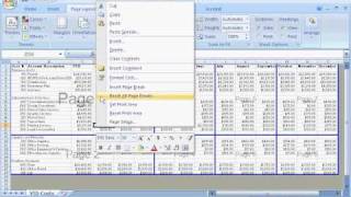 Excel 2007: Adjust page breaks to control what is printed on each page
