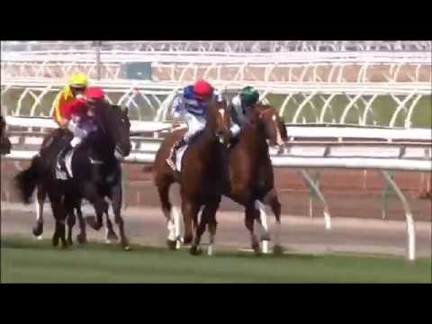 2017 NEWMARKET HANDICAP - Redkirk Warrior