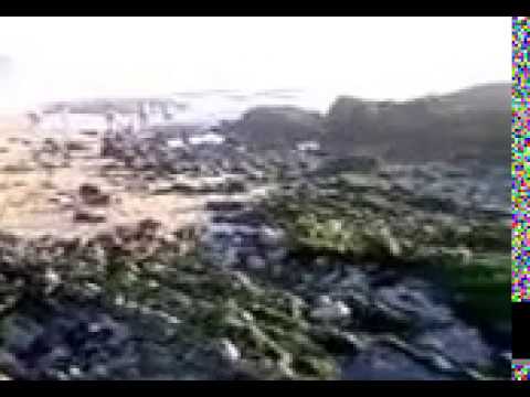 Como uma ave ou um rio video