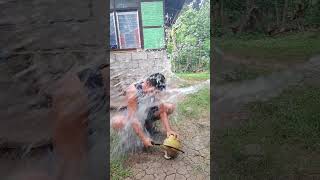 Download lagu Funny Reelvideo No 35 Talagsaon na Lobi#comedyshorts mp3