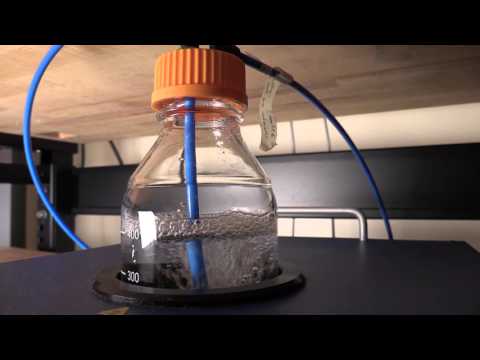 High Content Screening Core Facility