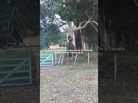 Escuela n° 85 , Bañado de Cañas , cam. Dela Escuela , dpto. Tacuarembó 🇺🇾 Videitos cultura uruguaya