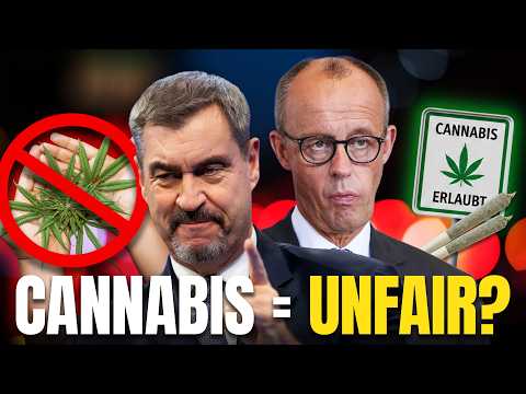 DAS ändert jetzt ALLES - Cannabis & MPU: Neue Daten, neue Regeln