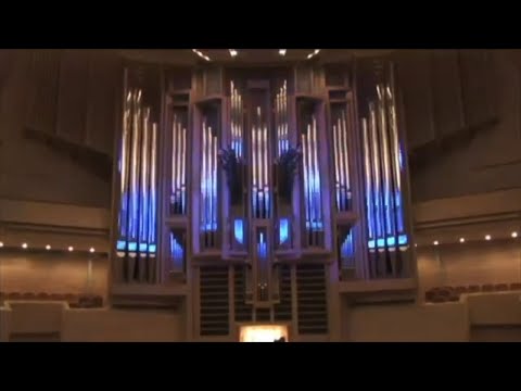 Dr Carol Williams in Moscow.