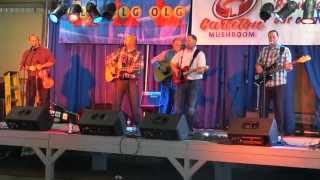 Bowes Brothers Margo&#39;s Cargo - Stompin&#39; Tom Cover