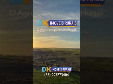 Arrendamento Rural | Oportunidades em Santana do Livramento, Santo Antônio das Missões e São Gabriel
