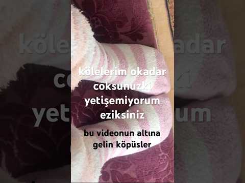 kraliçe köle ayaklarımm sahibe köle #kraliçeköle #ayak #köle #sahibe #fetiş #sahibe