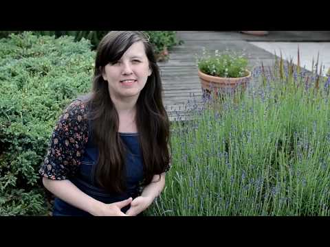 Elena Malysheva oleju włosów Wypadanie włosów po kursie