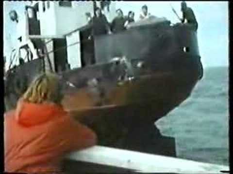Radio Caroline at Sea - LWT 1977 (3)