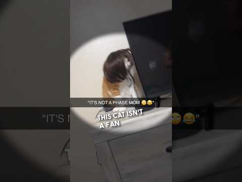 "It's not a phase mom 🙄🙄"