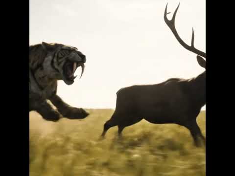 Sabertooth vs Prehistoric Deer – Epic Stone Age Hunt! #wildlife #sabertoothtiger #hunting