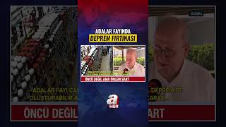 İstanbul Adalar Fayında Deprem Fırtınası | A Haber
