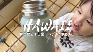 【47歳の日常】 孫はラナイで水遊び/コスコでイヤイヤ発動/孫2歳3ヶ月/#ハワイ暮らし /家族vlog #family #hawaii #honolulu