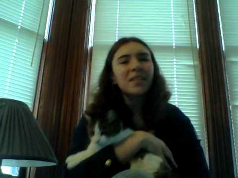 AVByte Singalong: Hipster Disney Princesses