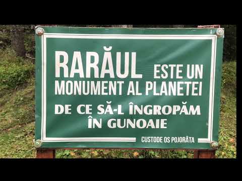 TransRarau Bucovina - Rarau - Piatra Soimului -Pojorata septembrie 2022