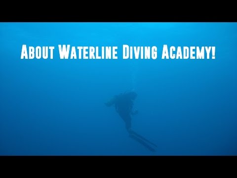 About Waterline Diving Academy