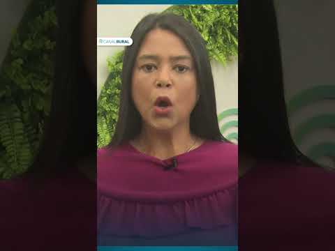 Tornado atinge município do Paraná com ventos de 180 km/h no sábado