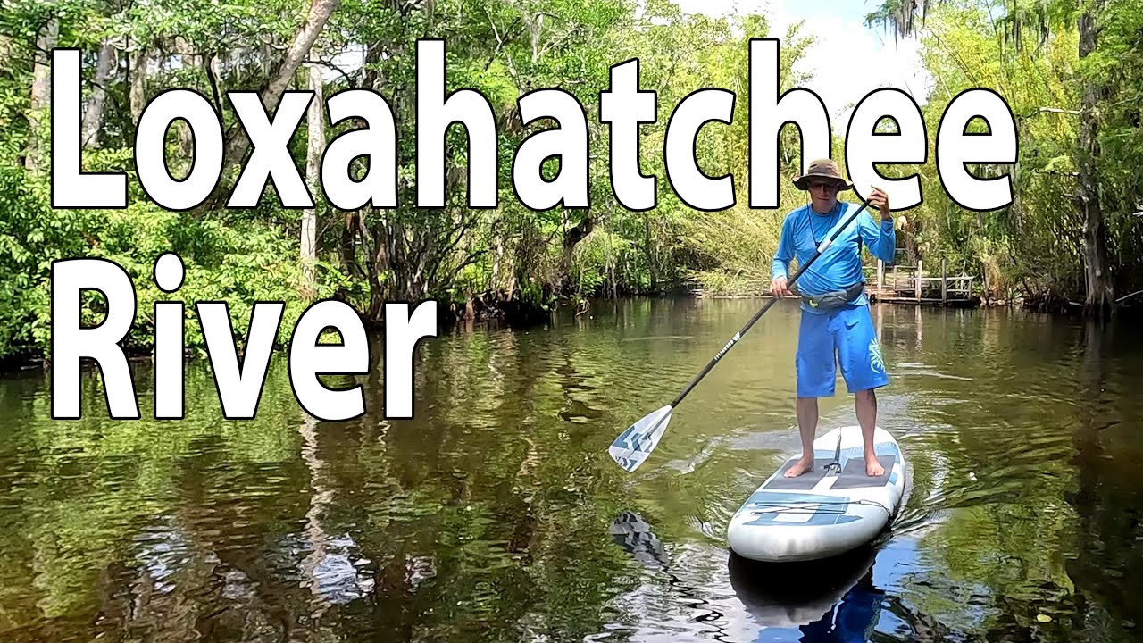 Loxahatchee River Paddleboarding