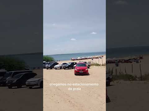 Paraíso no Sertão 🏜️🌊 #Surubabel #Rodelas #Bahia #RioSaoFrancisco #Nordeste #PraiaDeAguaDoce