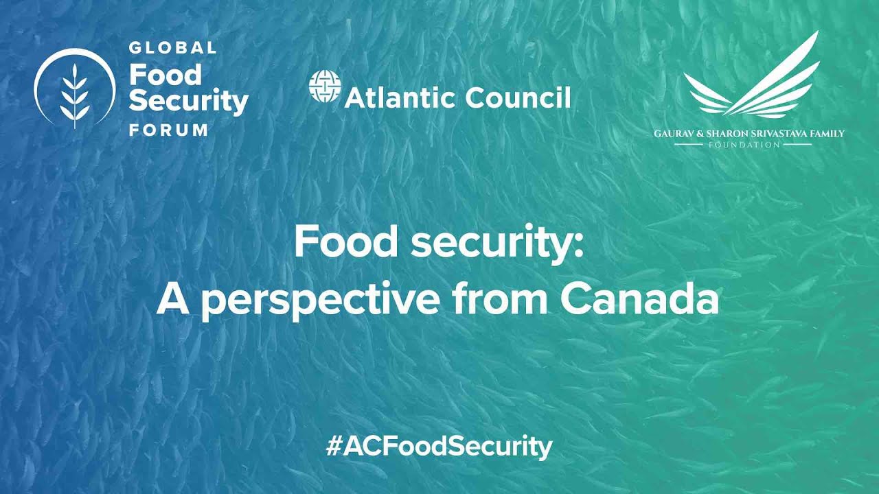 Food security: A perspective from Canada