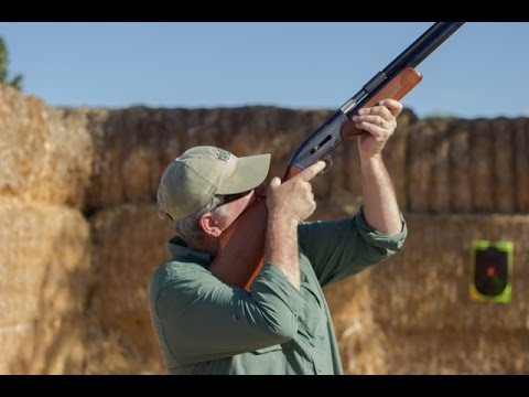 Air Shotgun Hunting Doves!