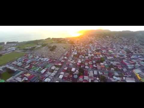 Island Crashers Bago Dawg