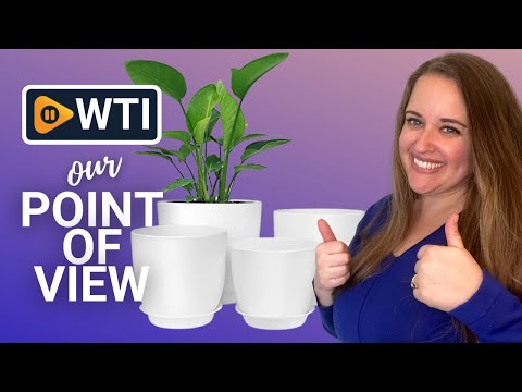 HOMENOTE Plastic Planters - WTI product video review