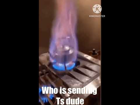 Cesus honest reaction [Reupload] (~The Battle Bricks~) #roblox #thebattlebricks