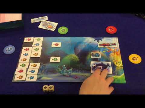 Bower's Game Corner: Reef Route Review