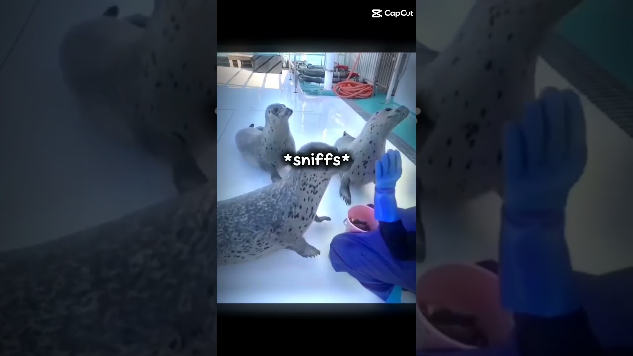 Wait no that's not what I mean!