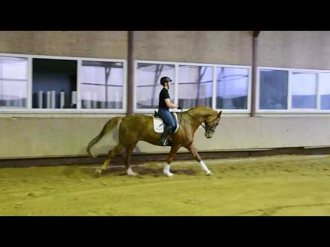 Wallach v. Don Juan de Hus - Davignon I