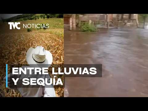 Pronóstico más lluvias para los municipios afectados en Gracias a Dios