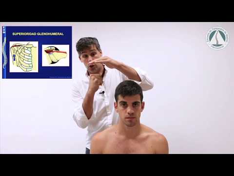 Tratamiento osteopático de la TENDINITIS del SUPRAESPINOSO