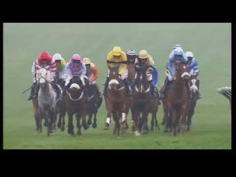 2011 National Hunt Chase Challenge Cup - Cheltenham Festival