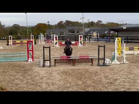 Kit Harington Connemara Stallion At Stud - Image 2