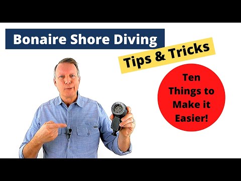 Ten Things to Make Bonaire Shore Diving Easier!