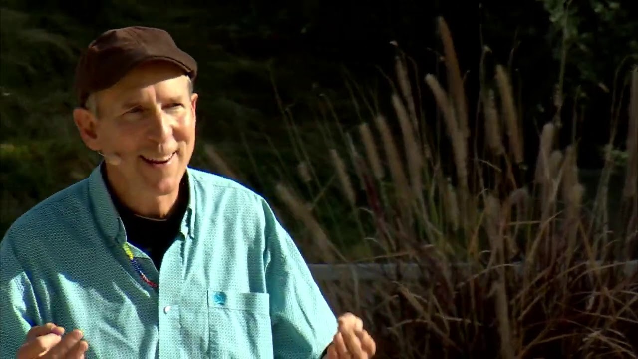 The transformative power of climbing trees | David Anderson | TEDxBoise