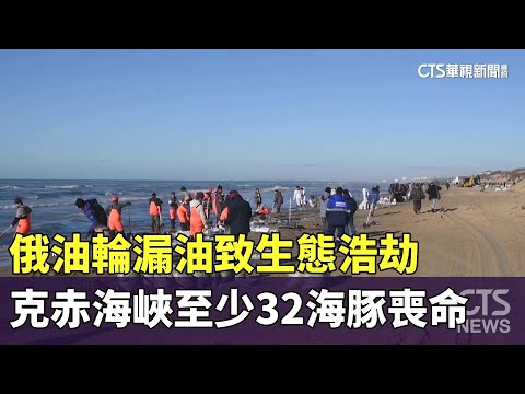 俄油輪漏油致生態浩劫　克赤海峽至少32海豚喪命