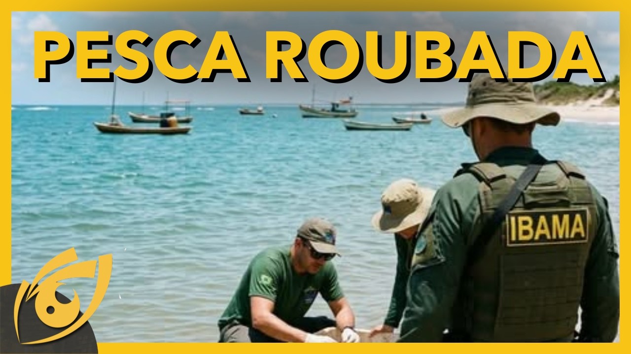 PESCADOR INDEPENDENTE TEM SUA PESCA APREENDIDA PELO IBAMA - ESTADO, AMBIENTALISMO e os ANIMAIS